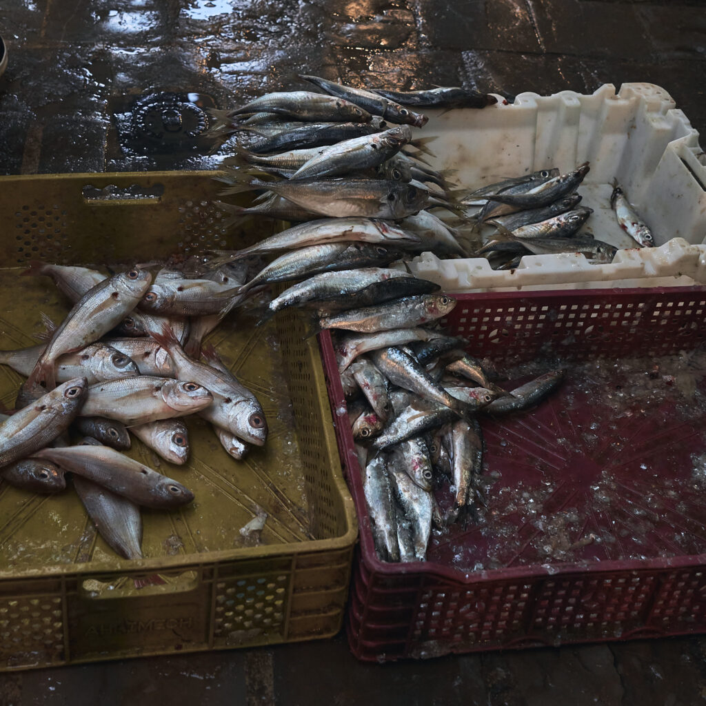 Pescado Medina de Tetuan