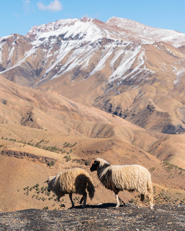 Montañas del Atlas